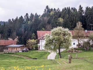 idylisch oberhalb vom Rannasee...