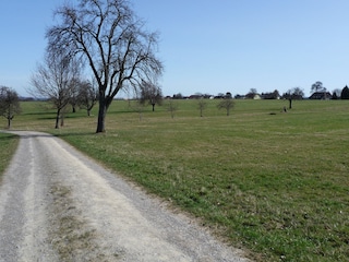 Wanderweg ums Dorf