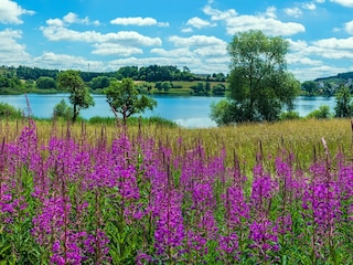 Schalkenmehren ca. 6 km  entfernt