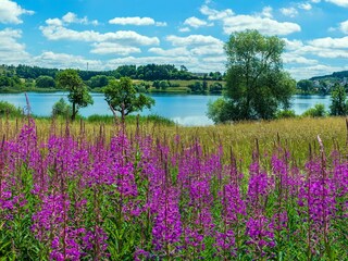 Vakantieappartement Daun Omgeving 37