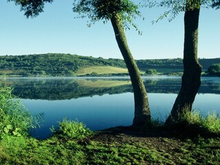 Vakantieappartement Daun Omgeving 40