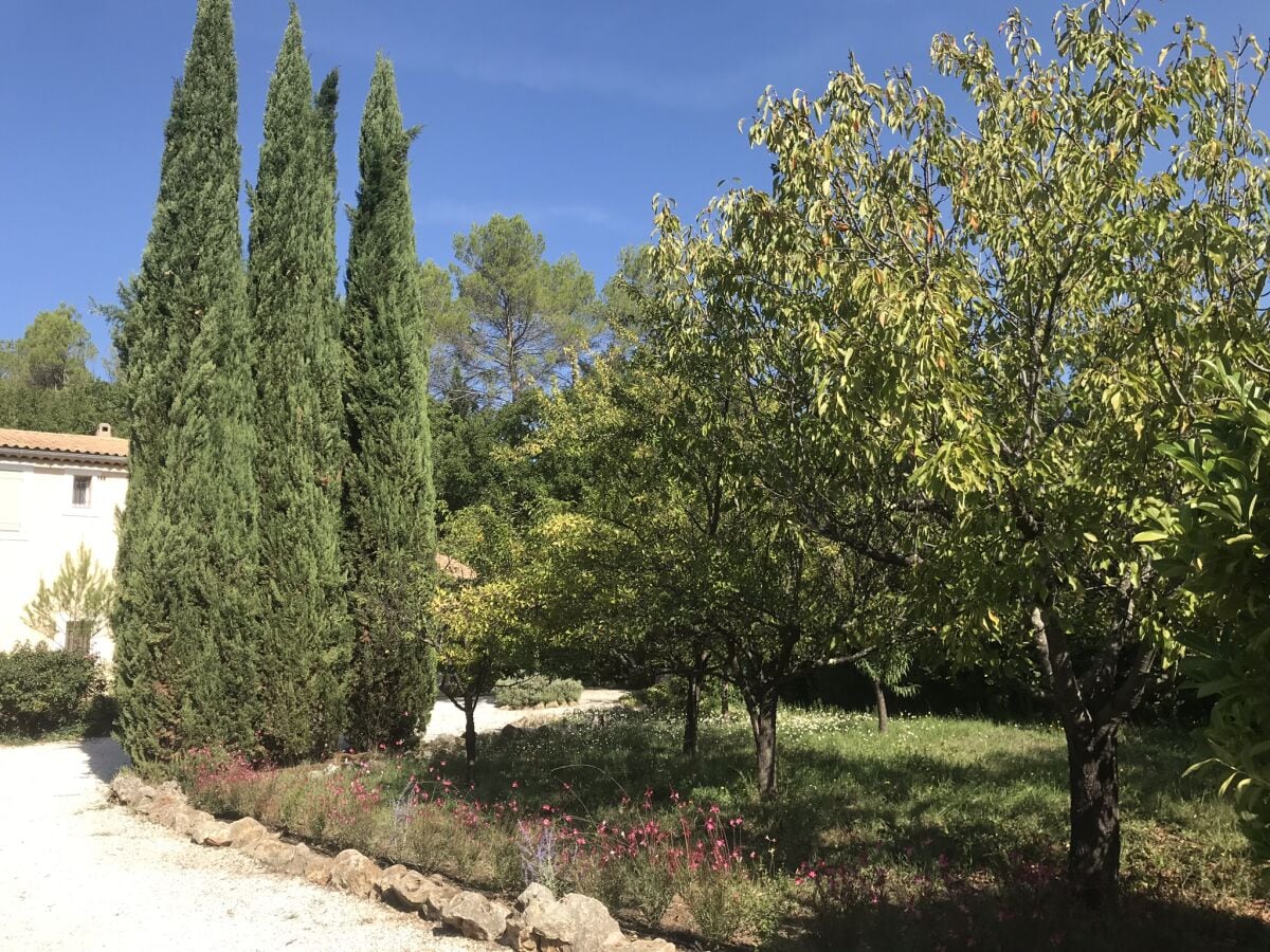 Obstbaumwiese vor dem Haus