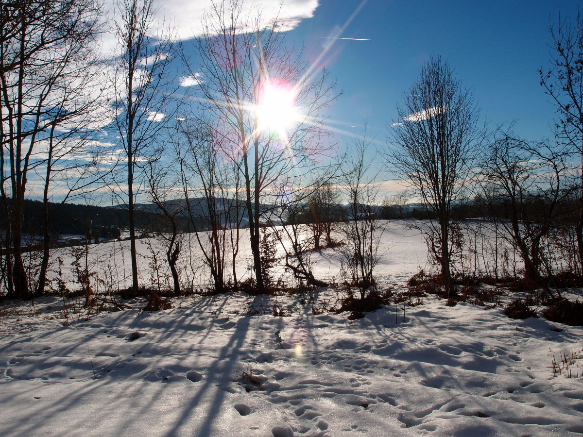 Winterlandschaft Konzell