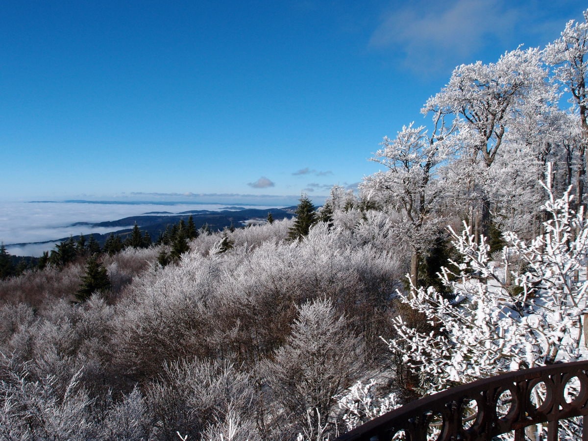 Wandern in traumhafter Landschaft