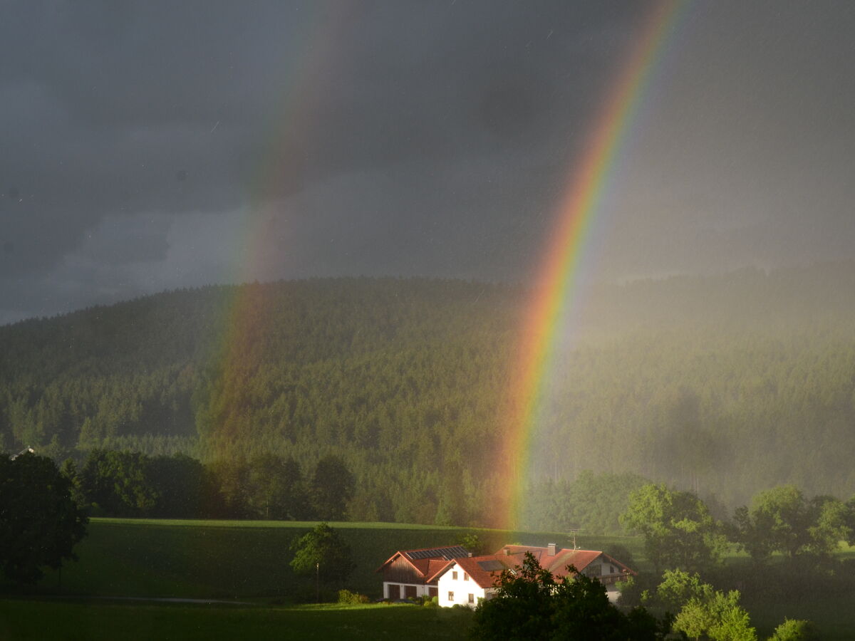 Auch Regen kann schön sein