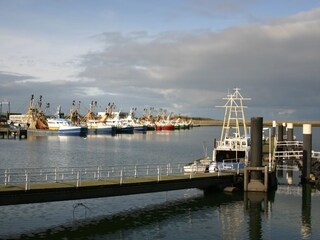 Vakantiehuis Ouddorp Omgeving 22
