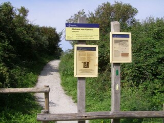 Casa per le vacanze Ouddorp Ambiente 23