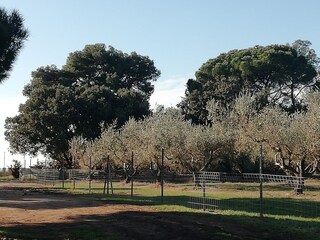 Ferienhaus Vodnjan Umgebung 24