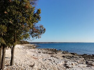 Casa per le vacanze Vodnjan Ambiente 29