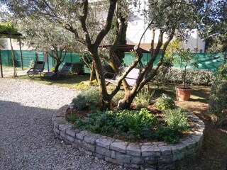 Casa per le vacanze Vodnjan Registrazione all'aperto 3