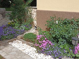 Ferienhaus Vodnjan Außenaufnahme 6