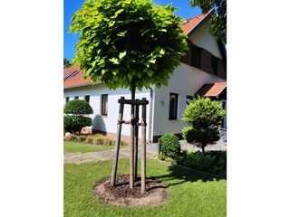 Unser Garten
