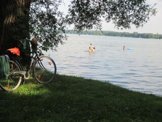 Badespaß Schwielochsee