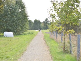 Wander- Radweg