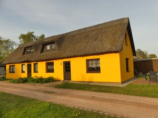 Ferienwohnung Wieck Außenaufnahme 4