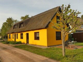 Ferienwohnung Wieck Außenaufnahme 4