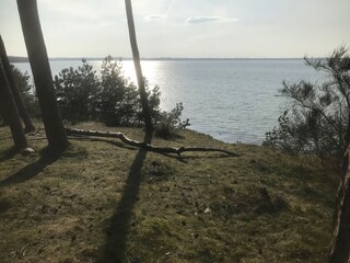 Appartamento per vacanze Hohen Wieschendorf Ambiente 39