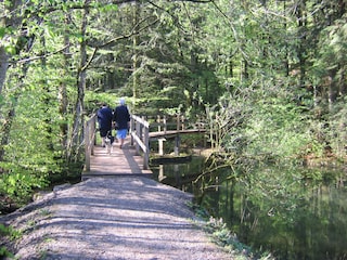 Ein gemütlicher Spaziergang in der Natur