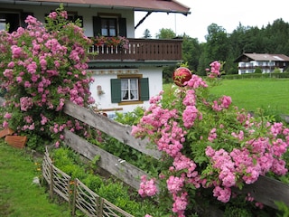 Unser Bauerngarten mit Kräuterbeet für unsere Gäste