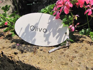 Appartamento per vacanze Brenzone sul Garda Registrazione all'aperto 6