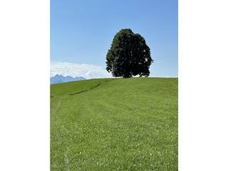 Wittelsbacherhöhe