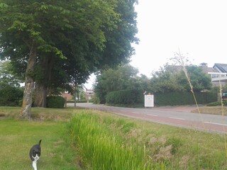 Casa per le vacanze Ouddorp Ambiente 26