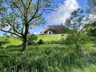 Casa per le vacanze Tetenbüll Registrazione all'aperto 2