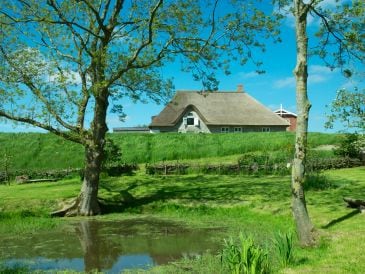 Holiday house Tetenbüllspieker