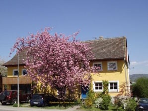 Ferienwohnung Doncharifa "das gelbe Haus" - Salem - image1