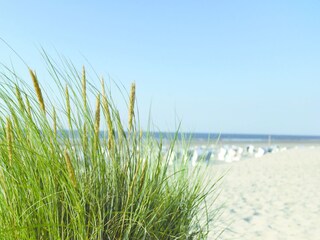 Strand in 200 Meter Entfernung