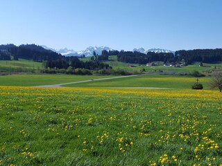 Allgäu