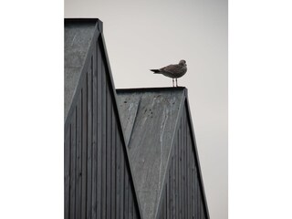 Appartamento per vacanze Rerik Ambiente 21