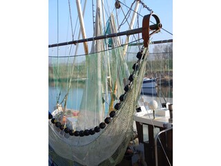 Appartamento per vacanze Rerik Ambiente 23