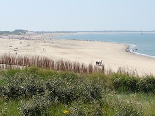 Der schöne De Banjaardstrand ????