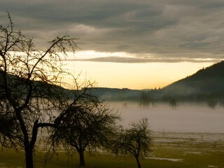 Morning dust