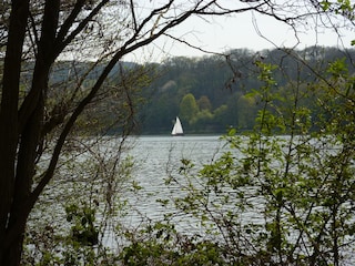 Der wunderschöne Baldeneysee