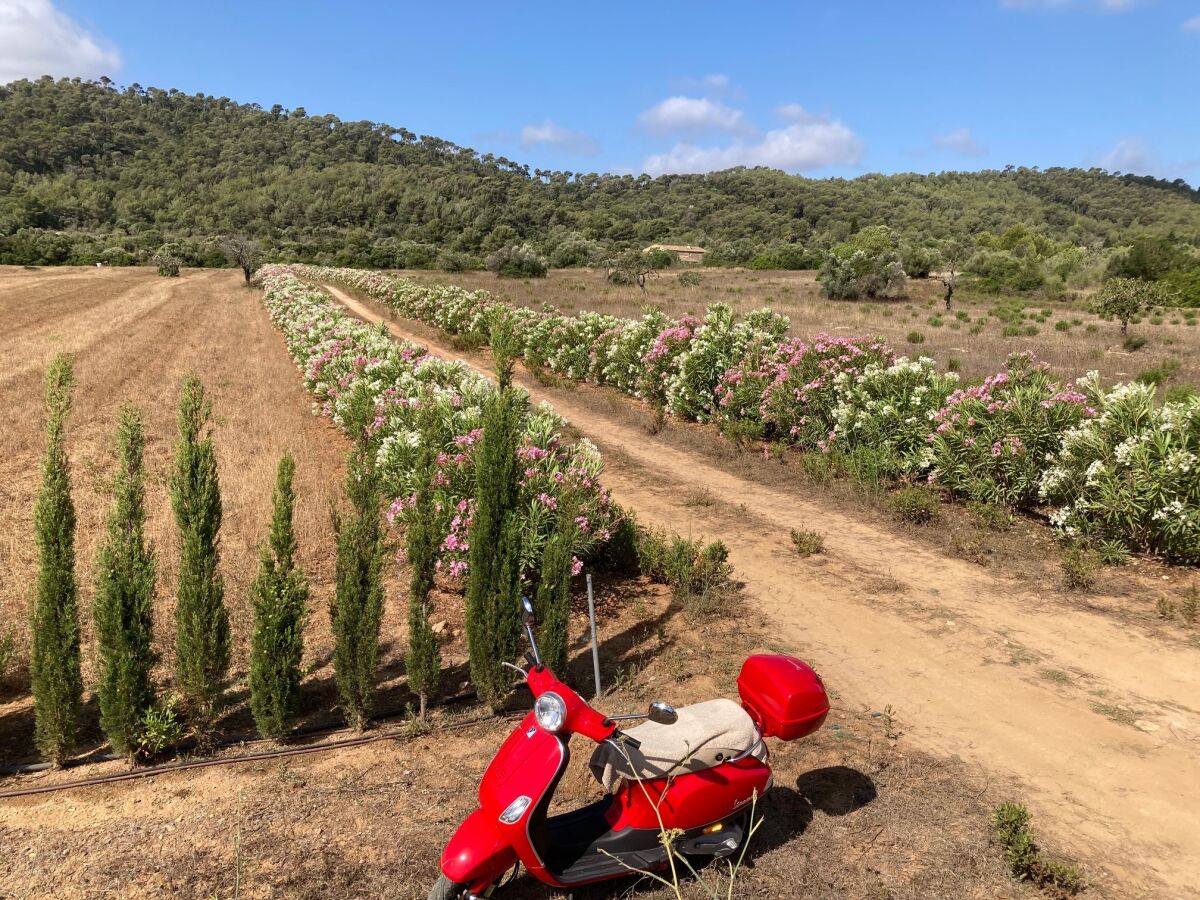 Weg zu einer Finca in Canyamel