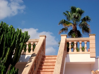 Holiday house Canyamel Environment 7