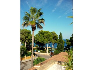 Casa per le vacanze Canyamel Registrazione all'aperto 3