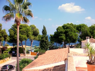 Holiday house Canyamel Environment 4