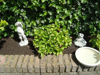 Appartement Egmond aan Zee Buitenaudio-opname 6