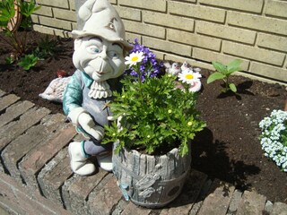 Appartamento Egmond aan Zee Registrazione all'aperto 9