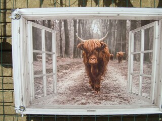 Appartement Egmond aan Zee Buitenaudio-opname 7