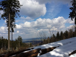 Winterliche Harzlandschaft