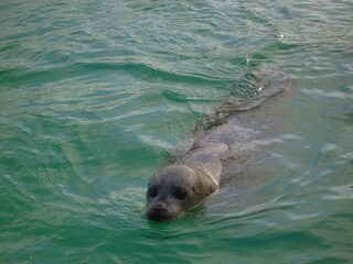 Appartamento per vacanze De Koog Ambiente 19