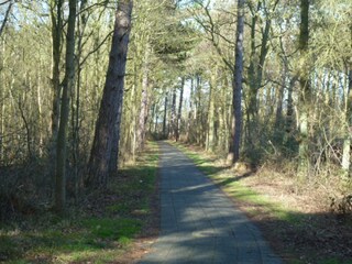 Appartamento per vacanze De Koog Ambiente 20