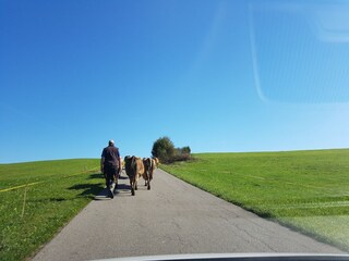 Appartamento per vacanze Ofterschwang Ambiente 24