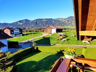 Appartamento per vacanze Ofterschwang Registrazione all'aperto 2