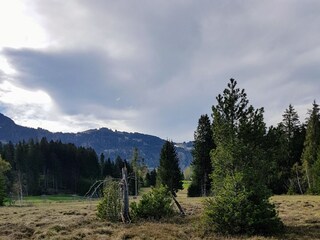 Appartamento per vacanze Ofterschwang Ambiente 27