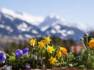 Appartamento per vacanze Ofterschwang Ambiente 23